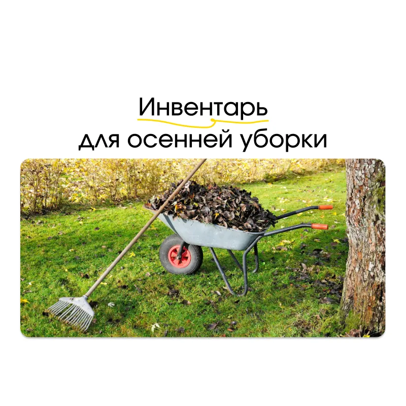 Уборочный инвентарь для осенней уборки: перчатки, ведра, щетки, грабли