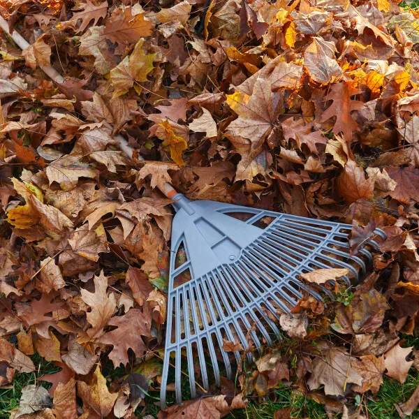 Подбираем уборочный инвентарь на субботник