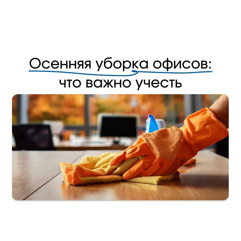 Осенняя уборка офисов: что важно учесть? Осенняя уборка офисов: что важно учесть?