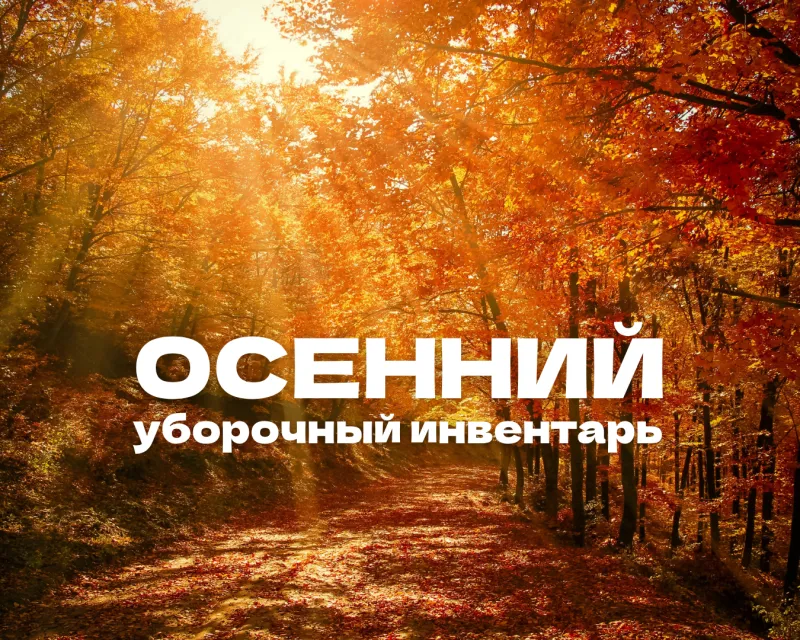 Что пригодится для уборки листвы: полный обзор инвентаря и его преимуществ Что пригодится для уборки листвы: полный обзор инвентаря и его преимуществ