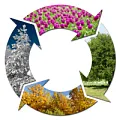 Сезонные товары Сезонные товары
